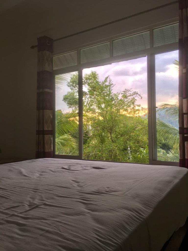 Misty View Inn エッラ エクステリア 写真