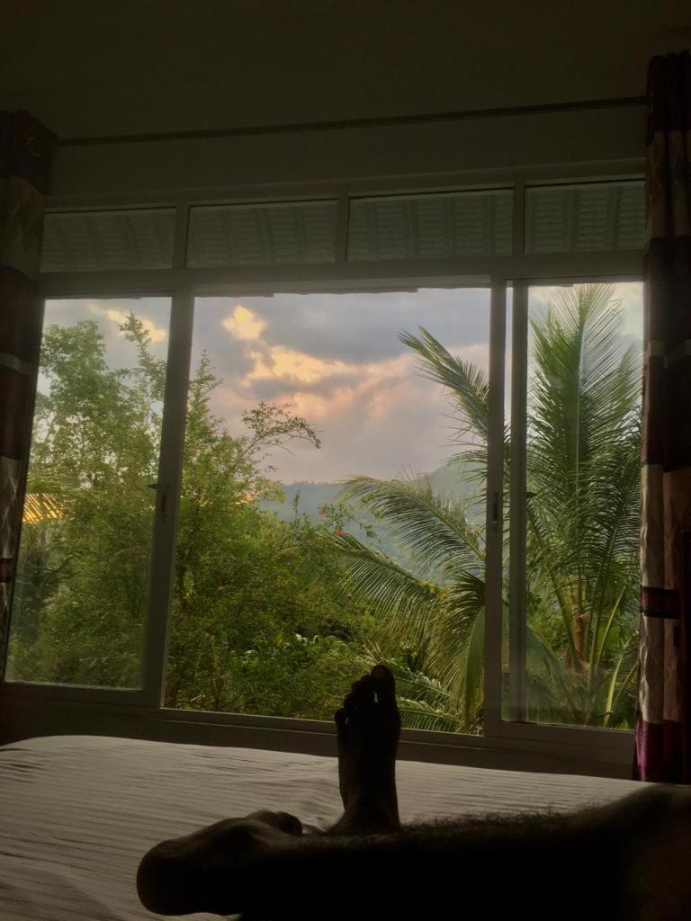 Misty View Inn エッラ エクステリア 写真